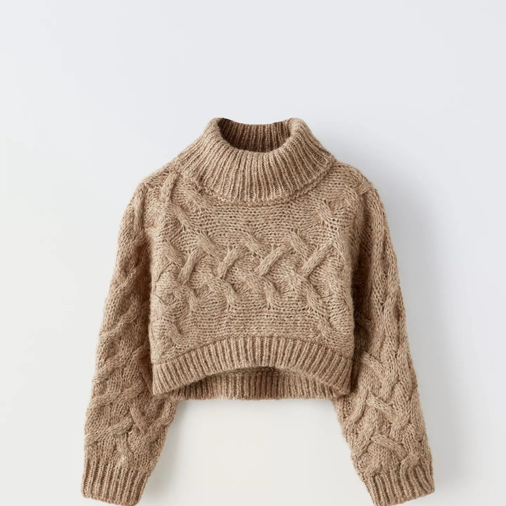 Zara cable knit Turtleneck Sweater - Brown